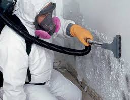 Trusted Brownwood, TX Mold Inspection Experts